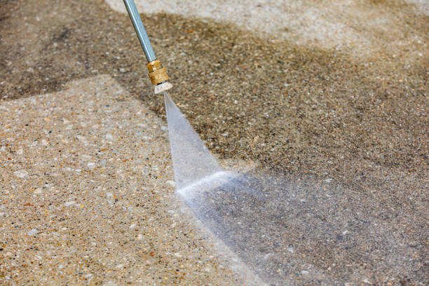 Best Winterizing Services  in Egan, LA